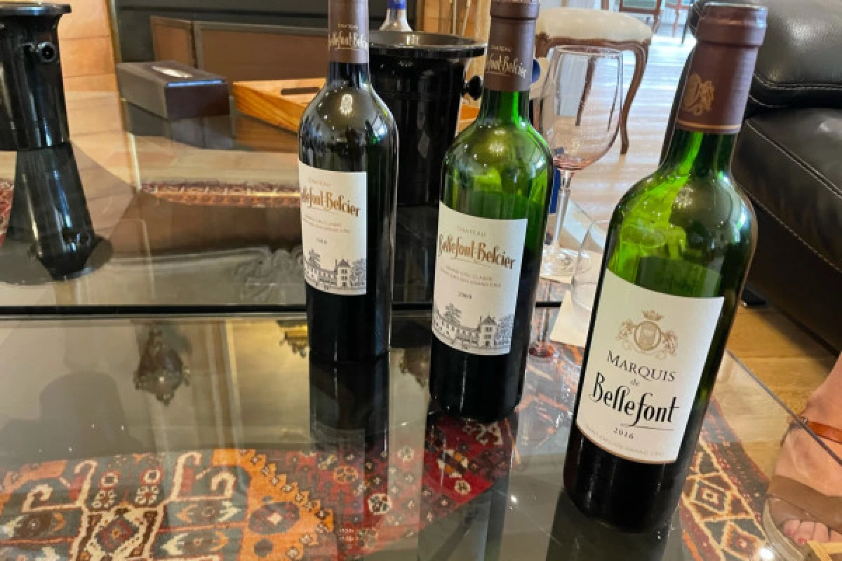 Private day tour from St-Emilion (Minivan or Sedan) - Bonjour Fun