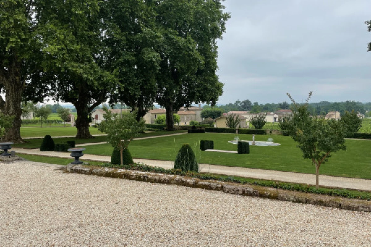 Private day tour in St-Emilion (Premium Minivan / sedan) - Bonjour Fun