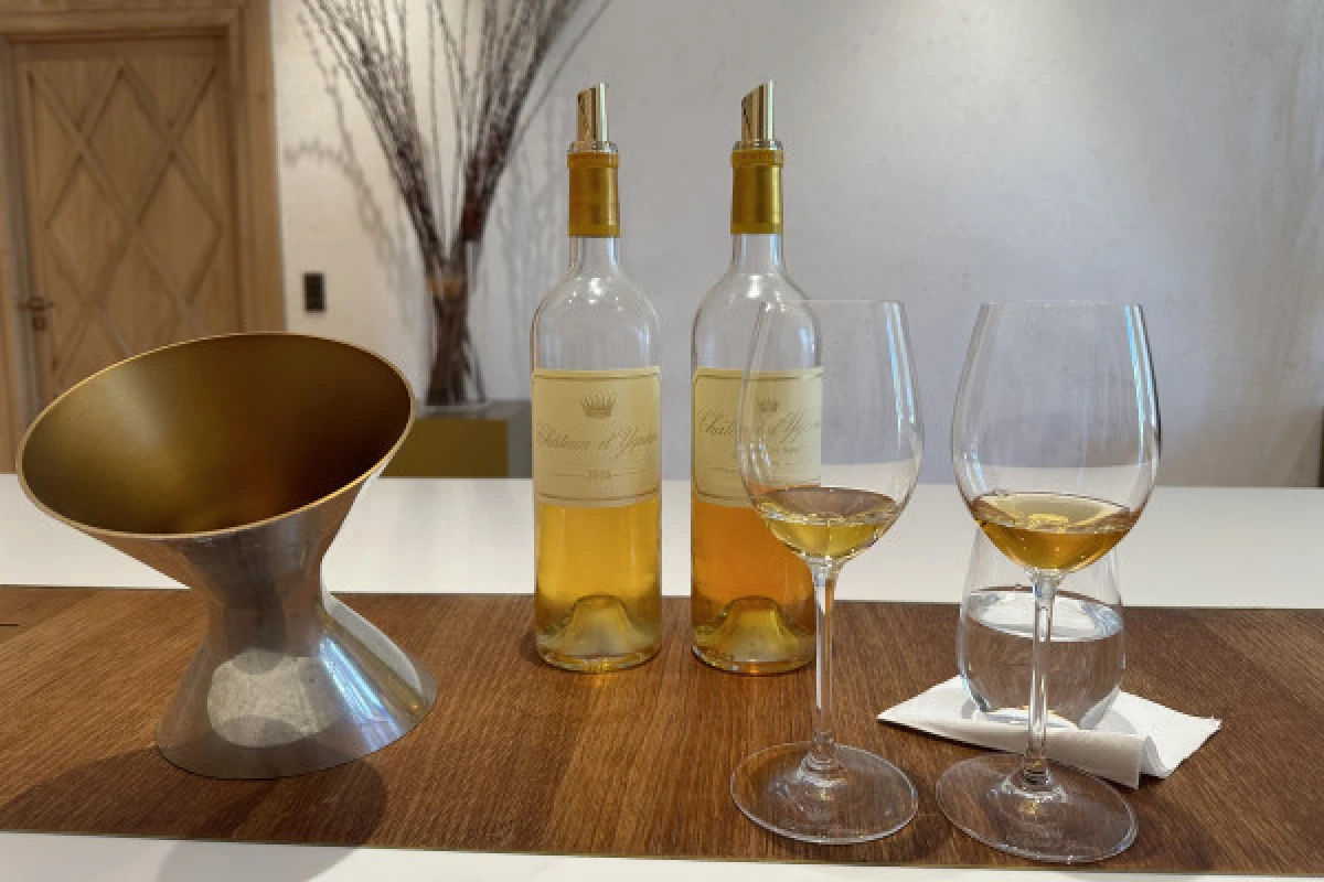 Private tour with tastings in the Bordeaux vineyards - Bonjour Fun