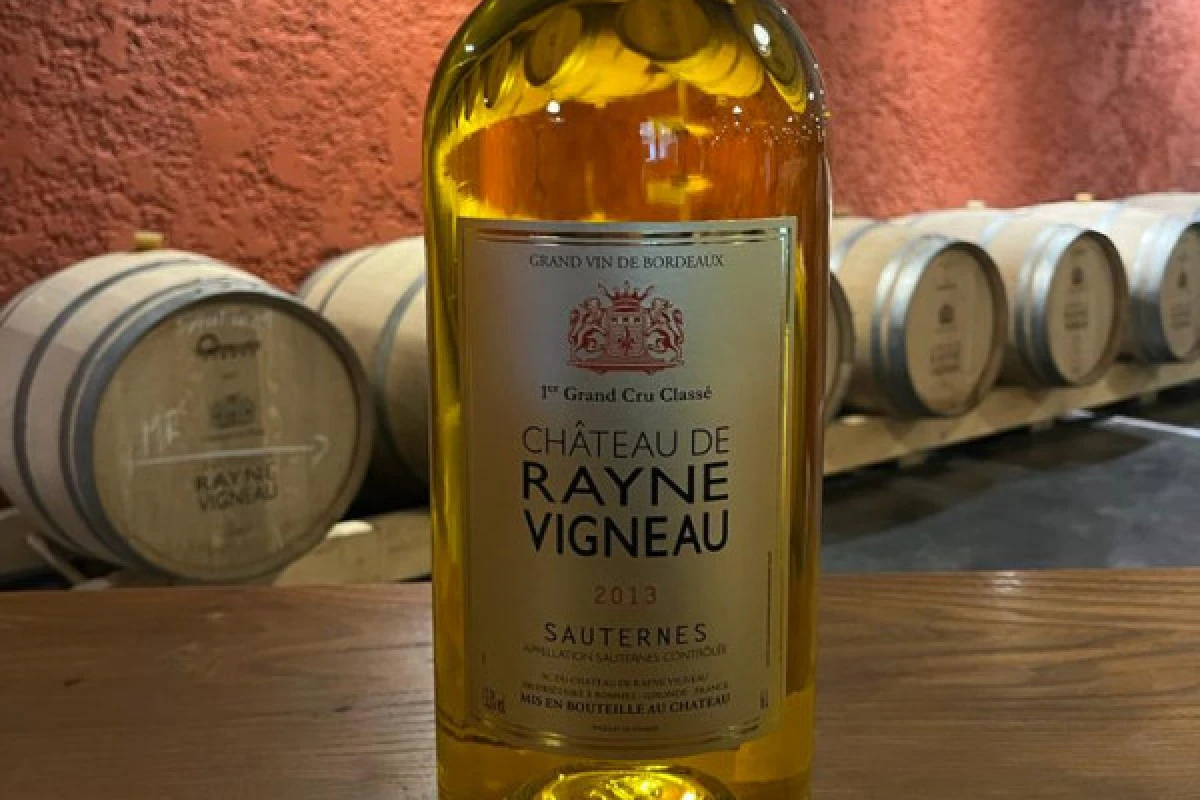 Private tour with tastings in the Bordeaux vineyards - Bonjour Fun