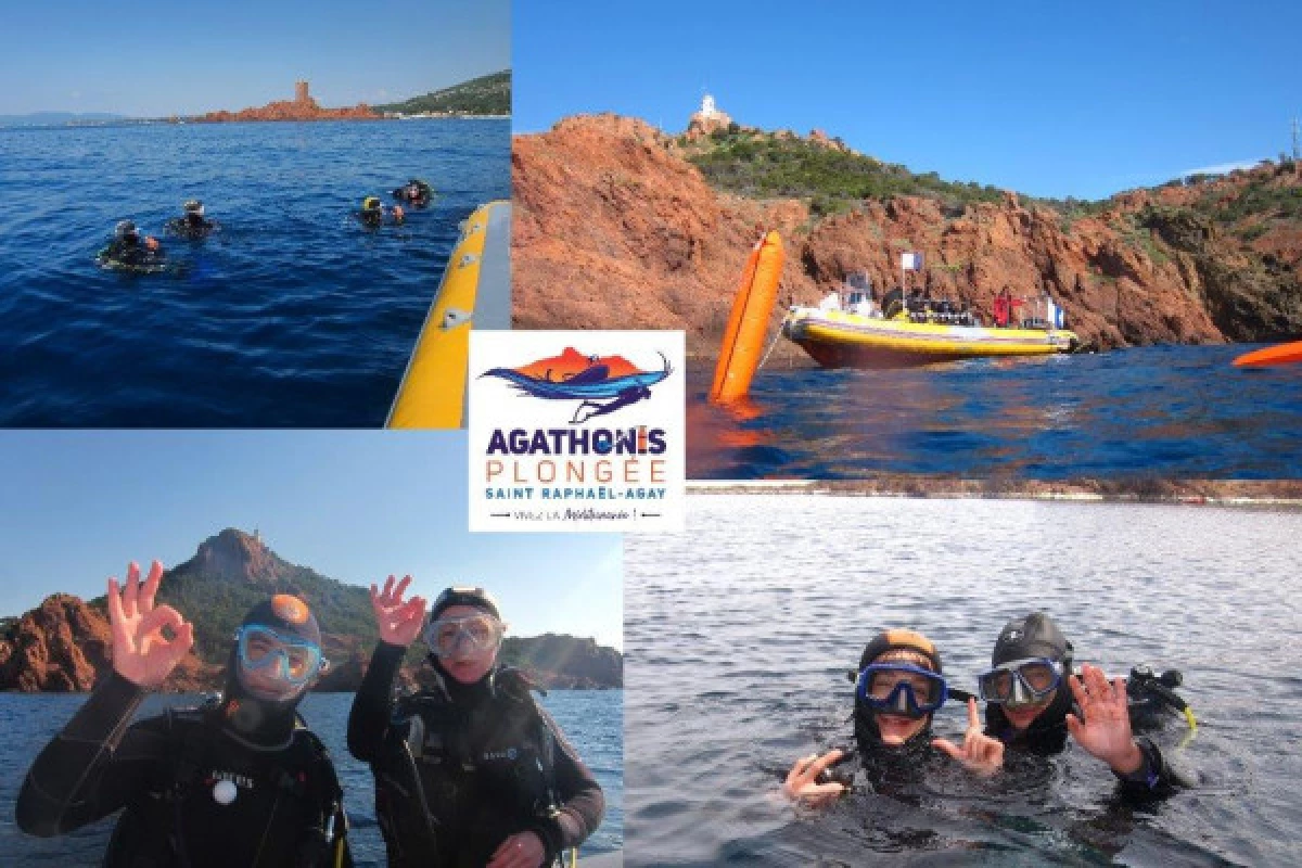 Boat privatization - First diving - Agay - Bonjour Fun