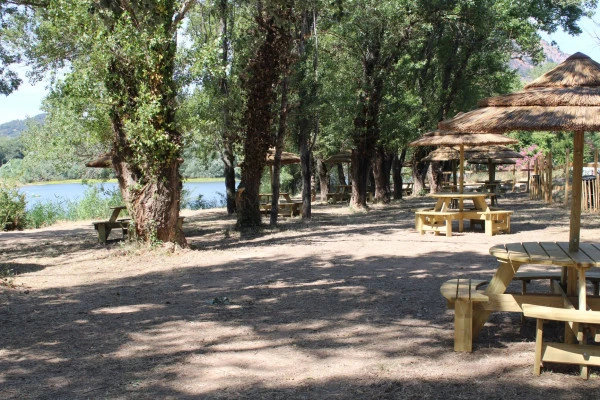 Exotic picnic table - Bonjour Fun