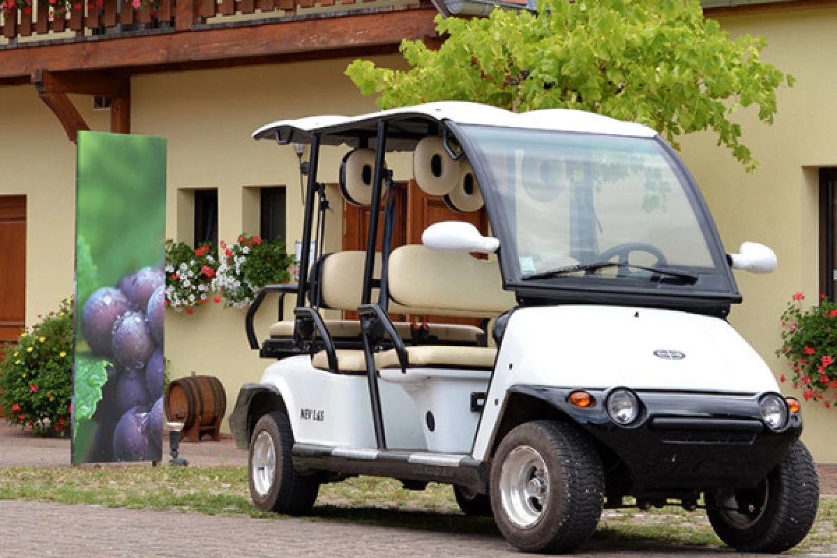 Electric vehicle ride through the vineyards - Bonjour Fun