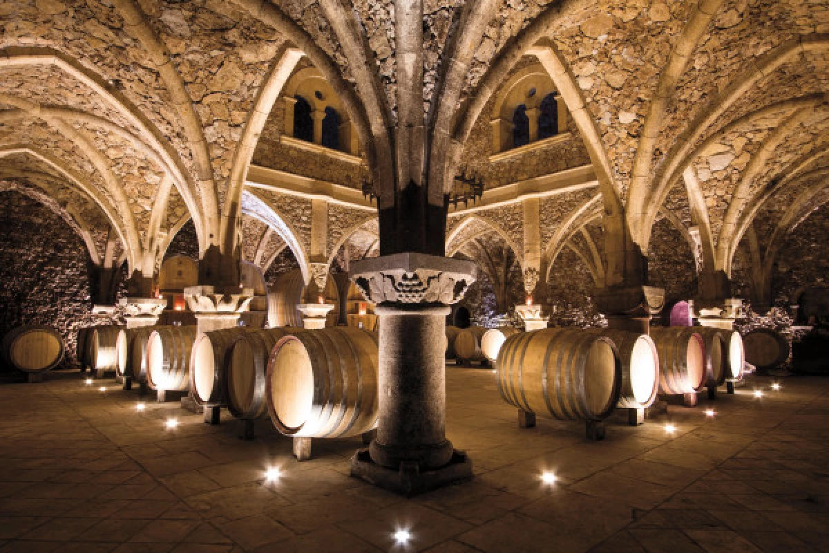 Provence Wine Tour - Full day Private Tour - Bonjour Fun