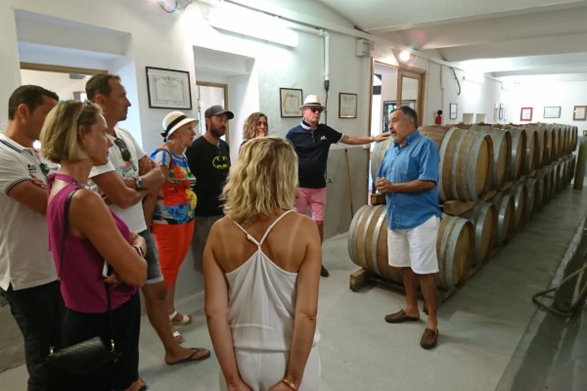 Provence Wine Tour - from Cannes - Bonjour Fun