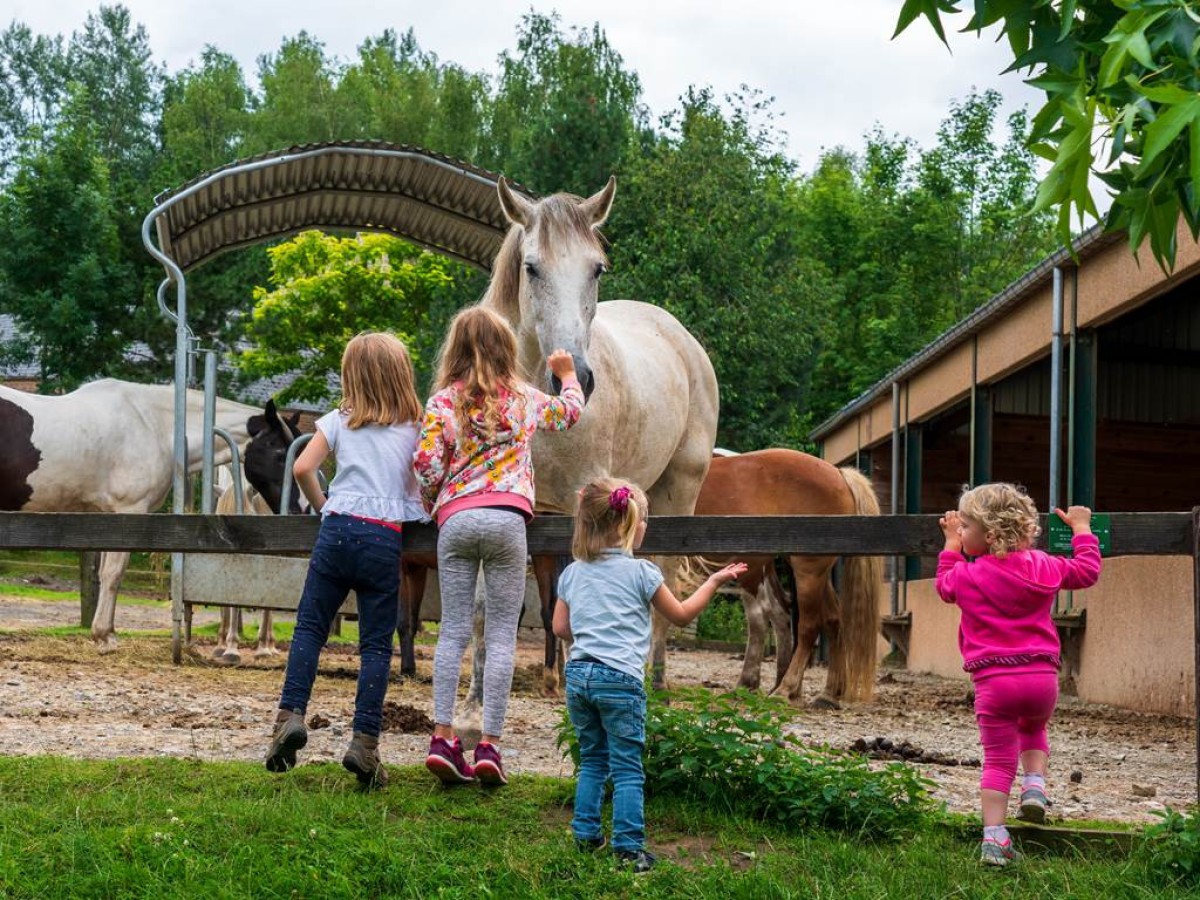 Rallye gourmand 2024 - Bonjour Fun
