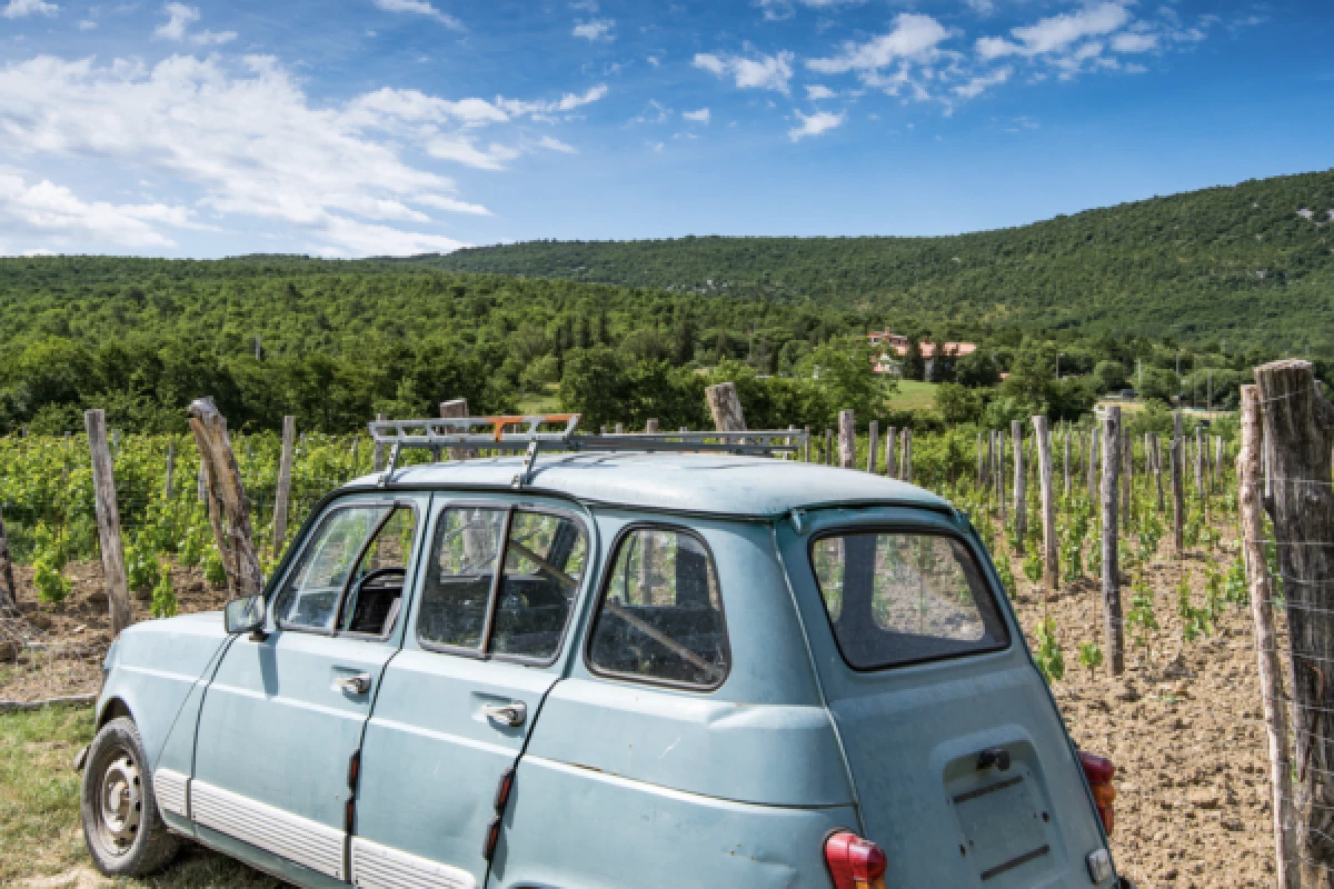 DISCOVERY RALLY ALSACE WINE ROUTE - Bonjour Fun