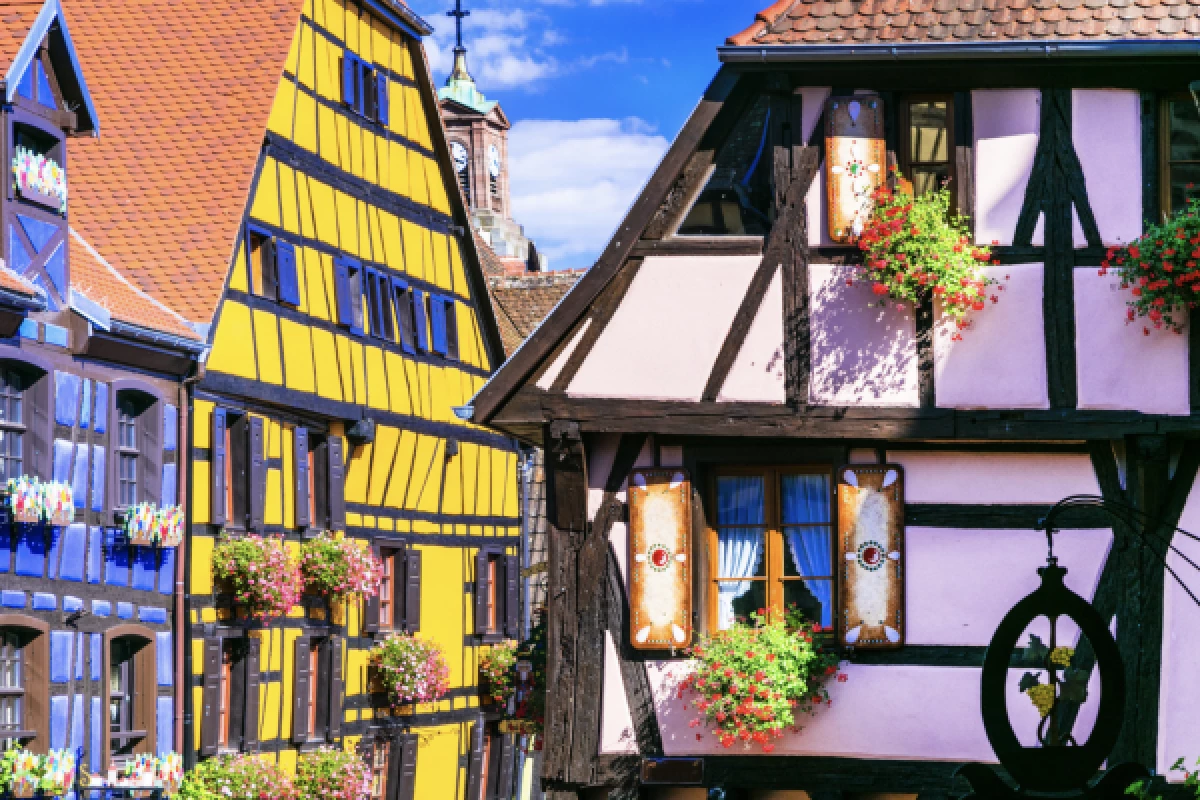 DISCOVERY RALLY ALSACE WINE ROUTE - Bonjour Fun