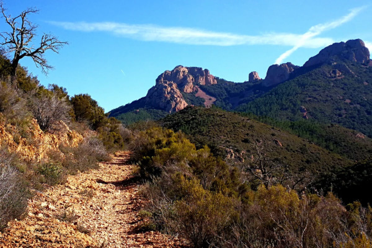 Hiking in the Estérel's Massif - Escale's tour - Bonjour Fun