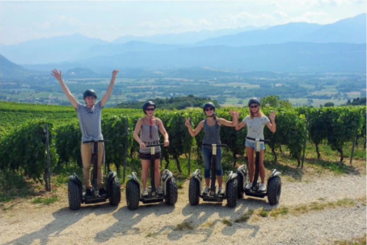 Segway tour 2h00 - Vineyards - Bonjour Fun