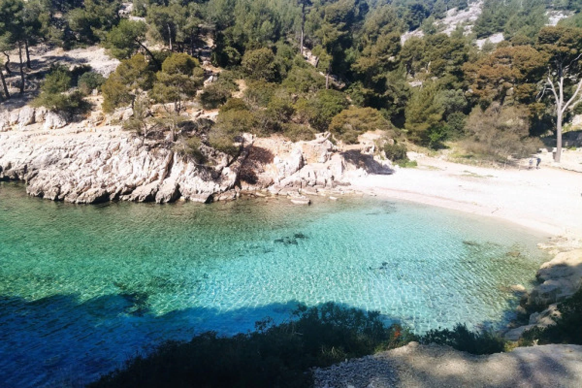 Hiking 3 Calanques Cassis : Port-Miou, Port-Pin & En-Vau - Bonjour Fun