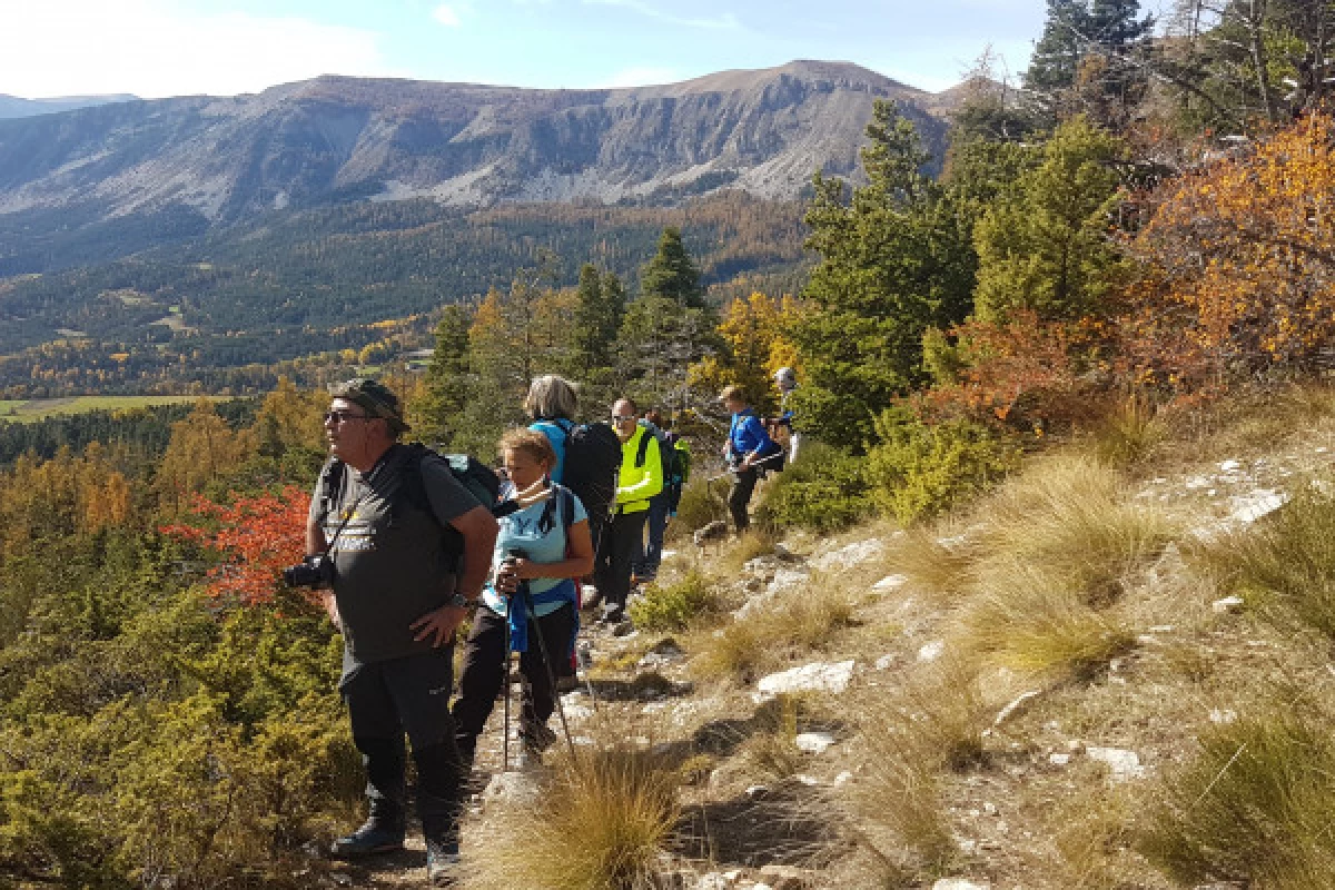 Theme hike: Man and the Wolf - Bonjour Fun