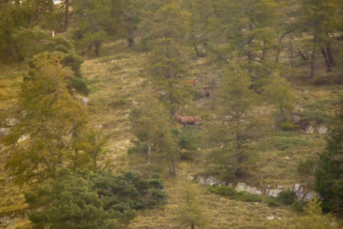 The Deer's slab - Hike in the Esterel - Bonjour Fun