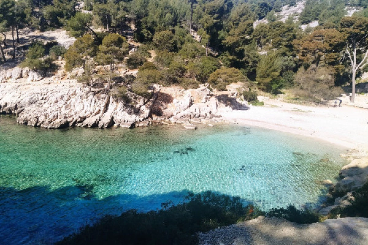 Hiking Calanques Cassis : Port-Miou, Port-Pin & En-Vau - Bonjour Fun