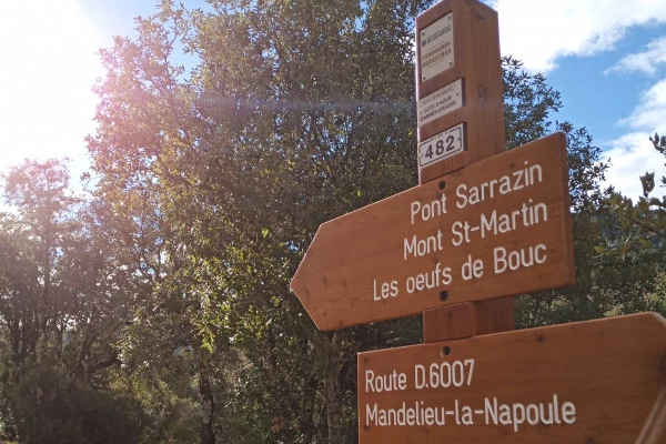 Estérel discovery hike and edible plants - Mandelieu - Bonjour Fun