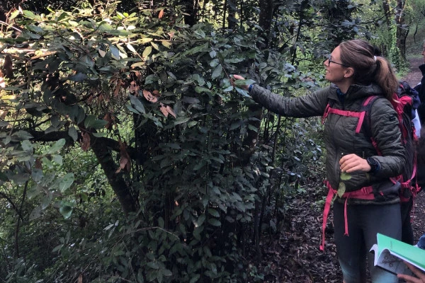 Estérel discovery hike and edible plants - Mandelieu - Bonjour Fun