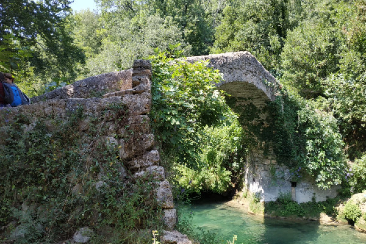 Pays de Fayence discovery hike and edible plants - Bonjour Fun