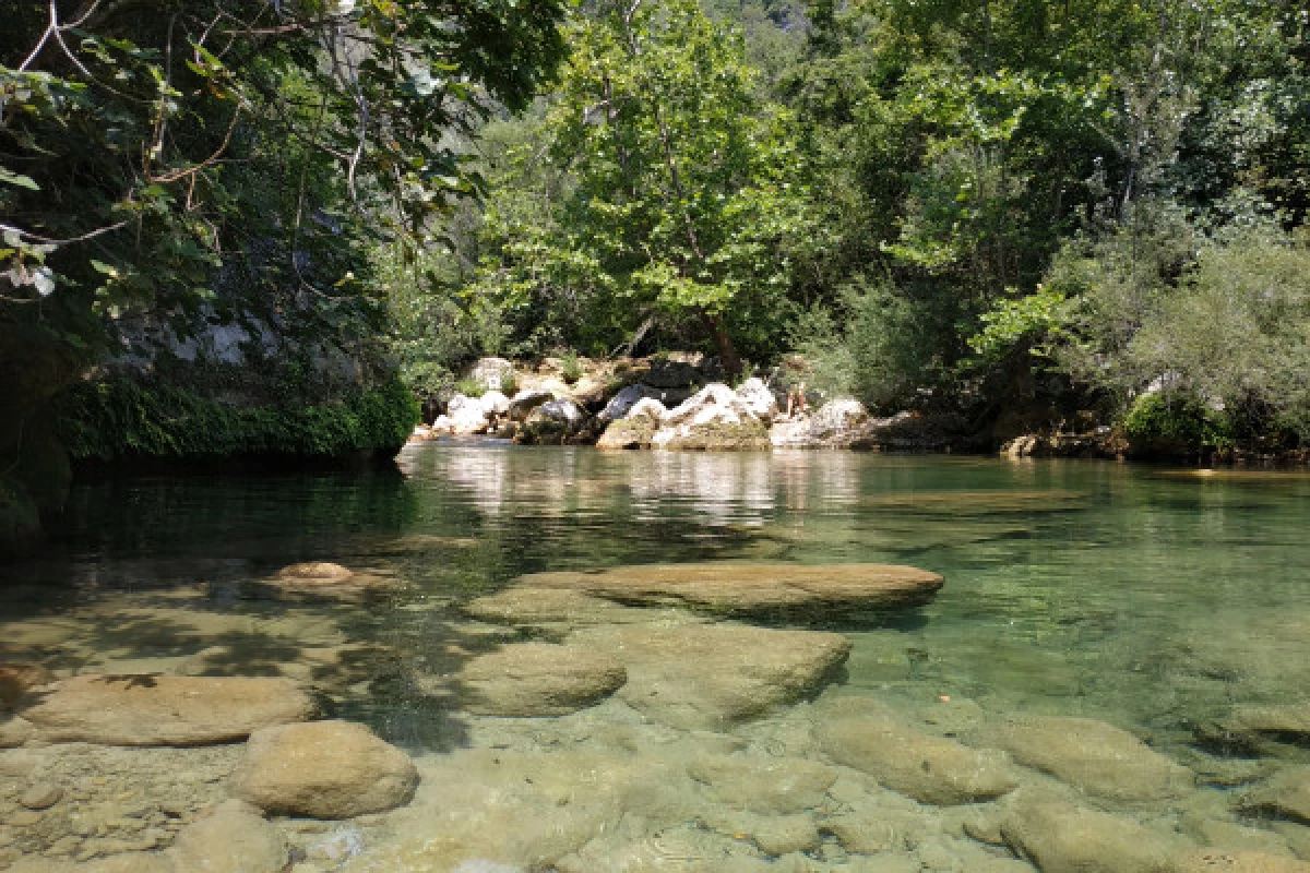 Pays de Fayence discovery hike and edible plants - Bonjour Fun