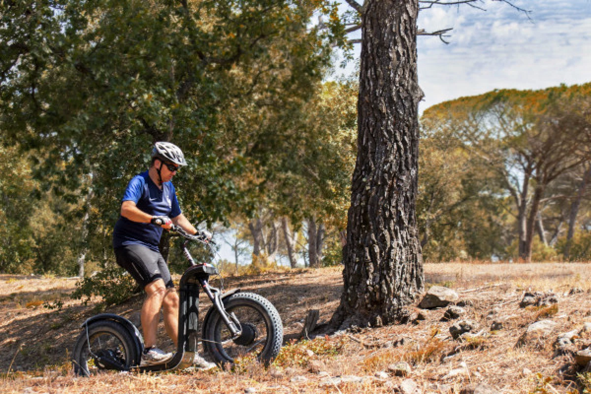 All terrain electric scooter ride - Forestry - Bonjour Fun