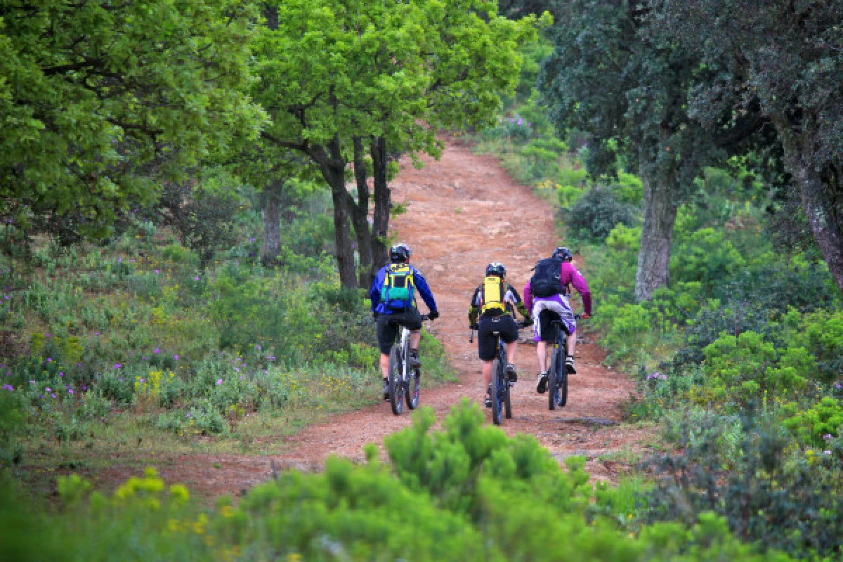 Guided electric mountain bike ride - "EBIKE & WINE - Bonjour Fun