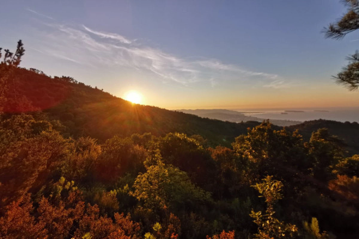 Sunrise Hike in the Estérel Park - Bonjour Fun