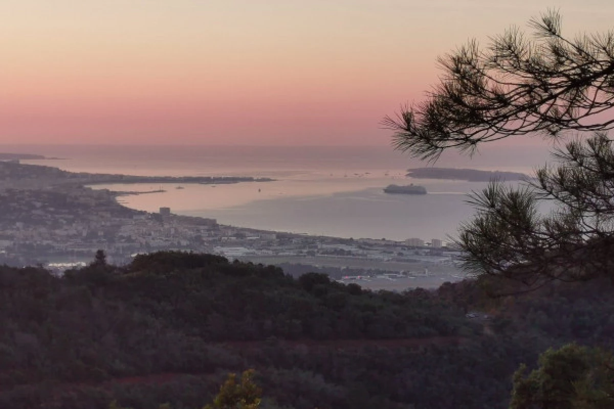 Sunrise Hike in the Estérel Park - Bonjour Fun