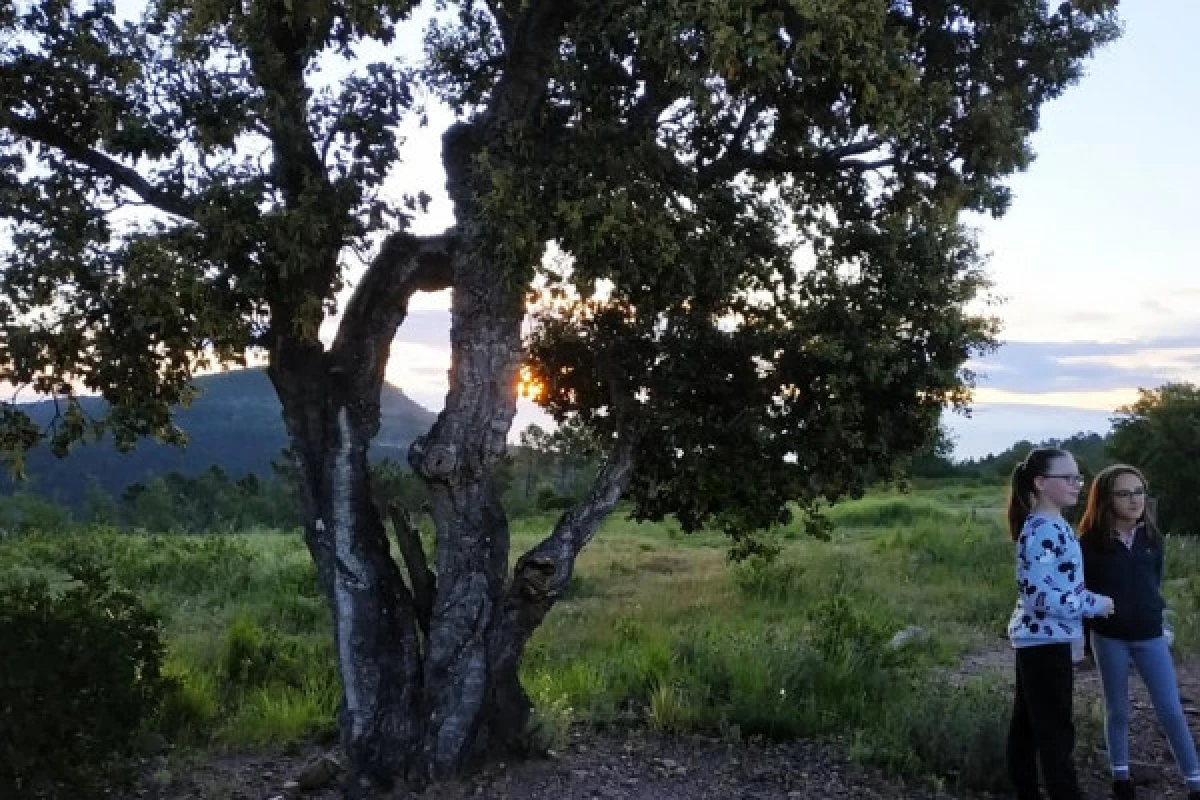 Sunrise Hike in the Estérel Park - Bonjour Fun