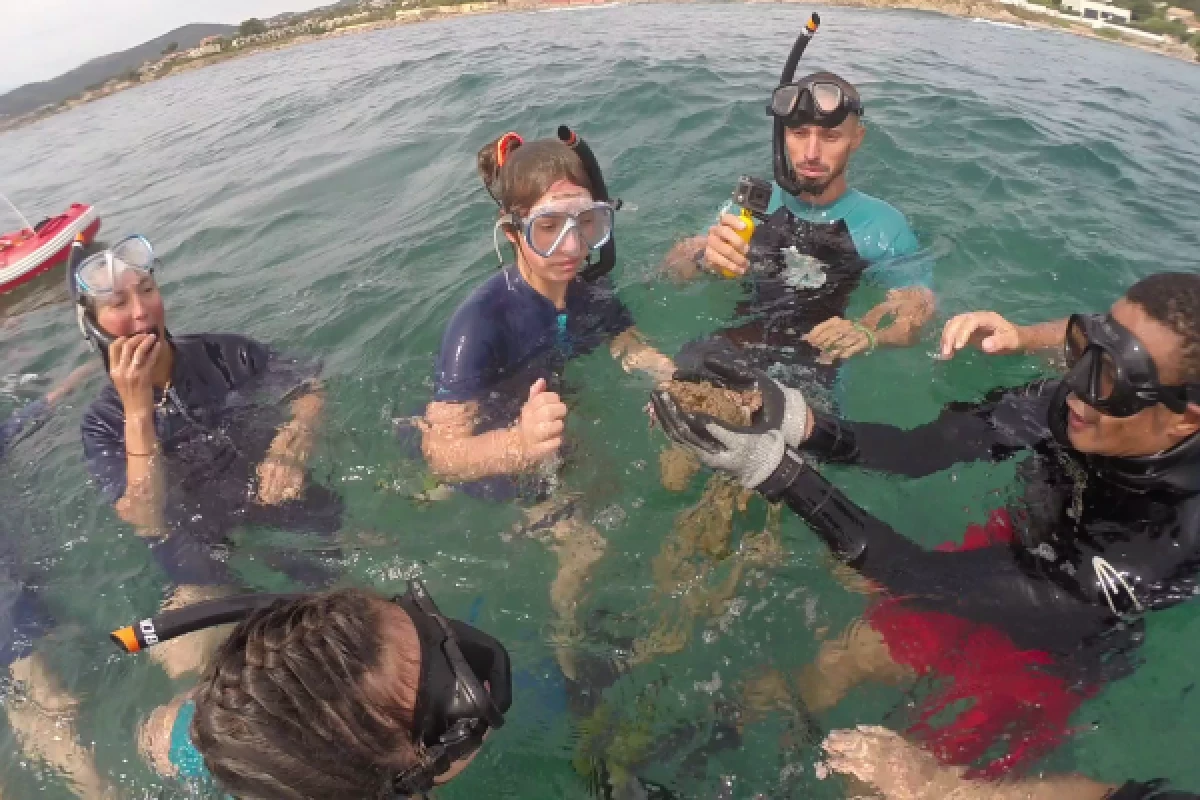 Snorkeling to discover the coastline - Port Santa Lucia - Bonjour Fun