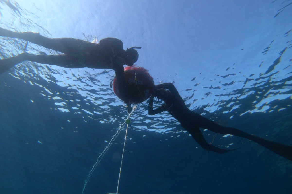 Snorkeling to discover the coastline - Port Santa Lucia - Bonjour Fun