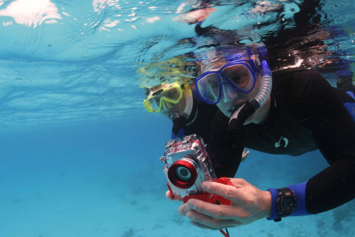 Snorkeling - Port Fréjus - Bonjour Fun