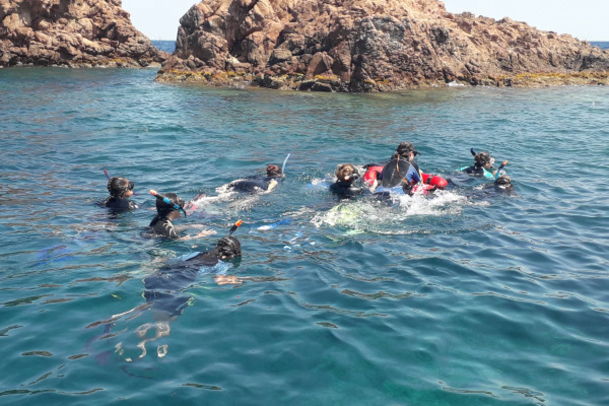 Snorkeling - Port Fréjus - Bonjour Fun