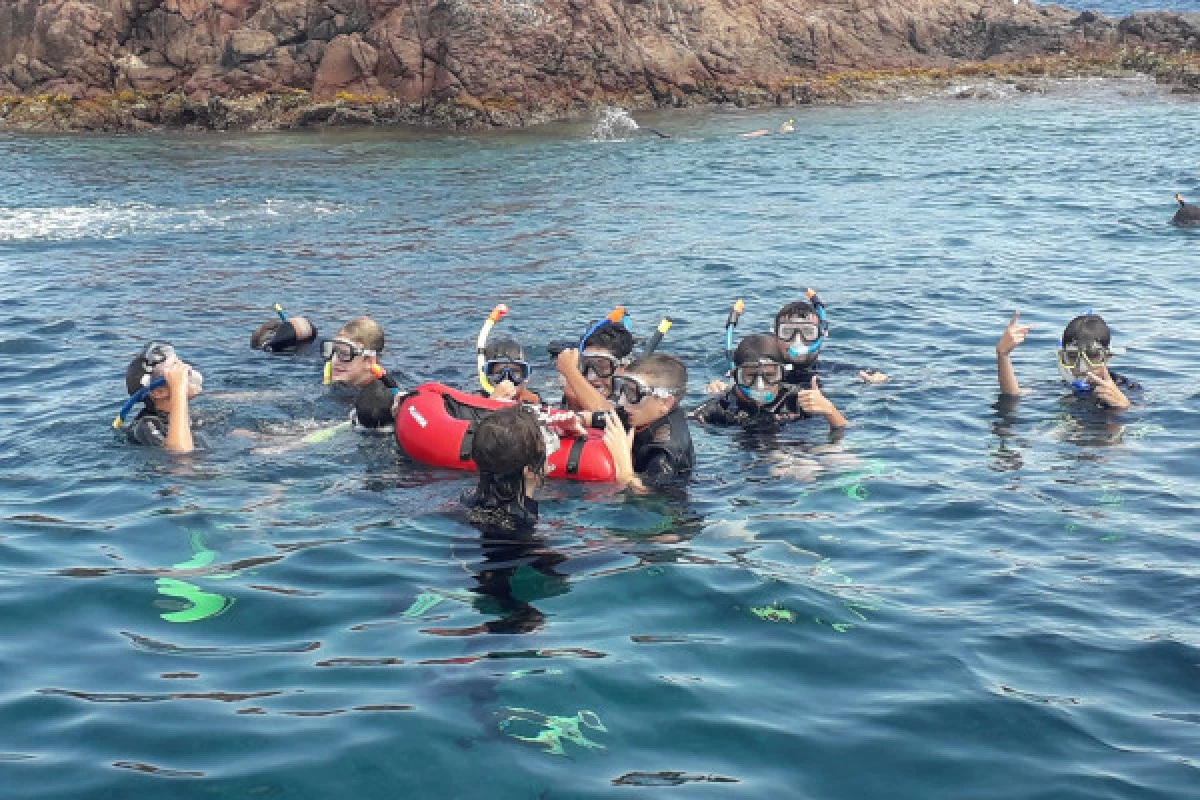 Snorkeling - Port Fréjus - Bonjour Fun