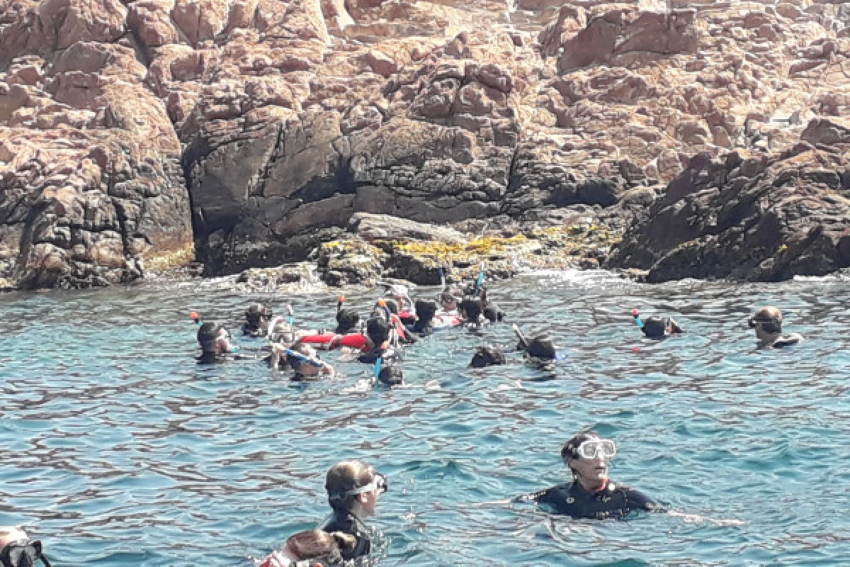 Snorkeling - Port Fréjus - Bonjour Fun