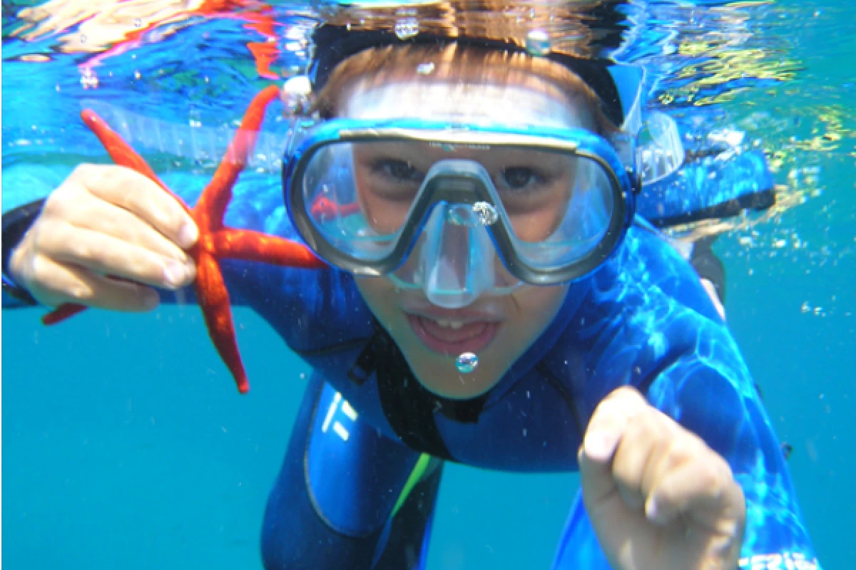 Snorkeling supervised with instructor - Les Issambres - Bonjour Fun