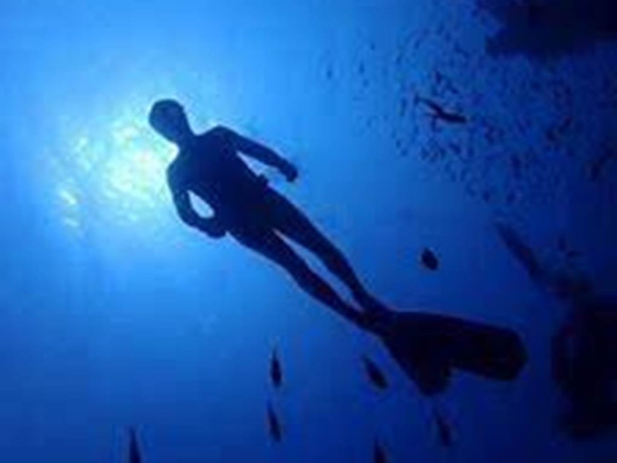 Diving baptism - Bonjour Fun