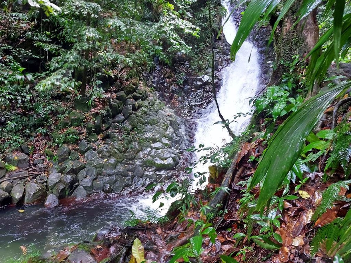 Randonnées nature - Bonjour Fun
