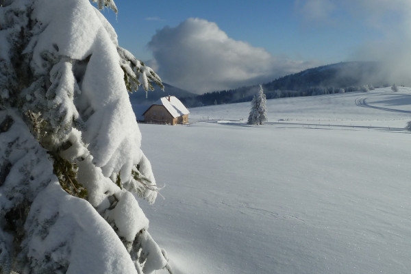 Snowshoe day on the Hohneck stubble - Bonjour Fun