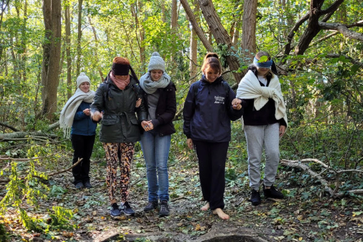 Soothe yourself by connecting with Nature - FOREST BATH - Bonjour Fun