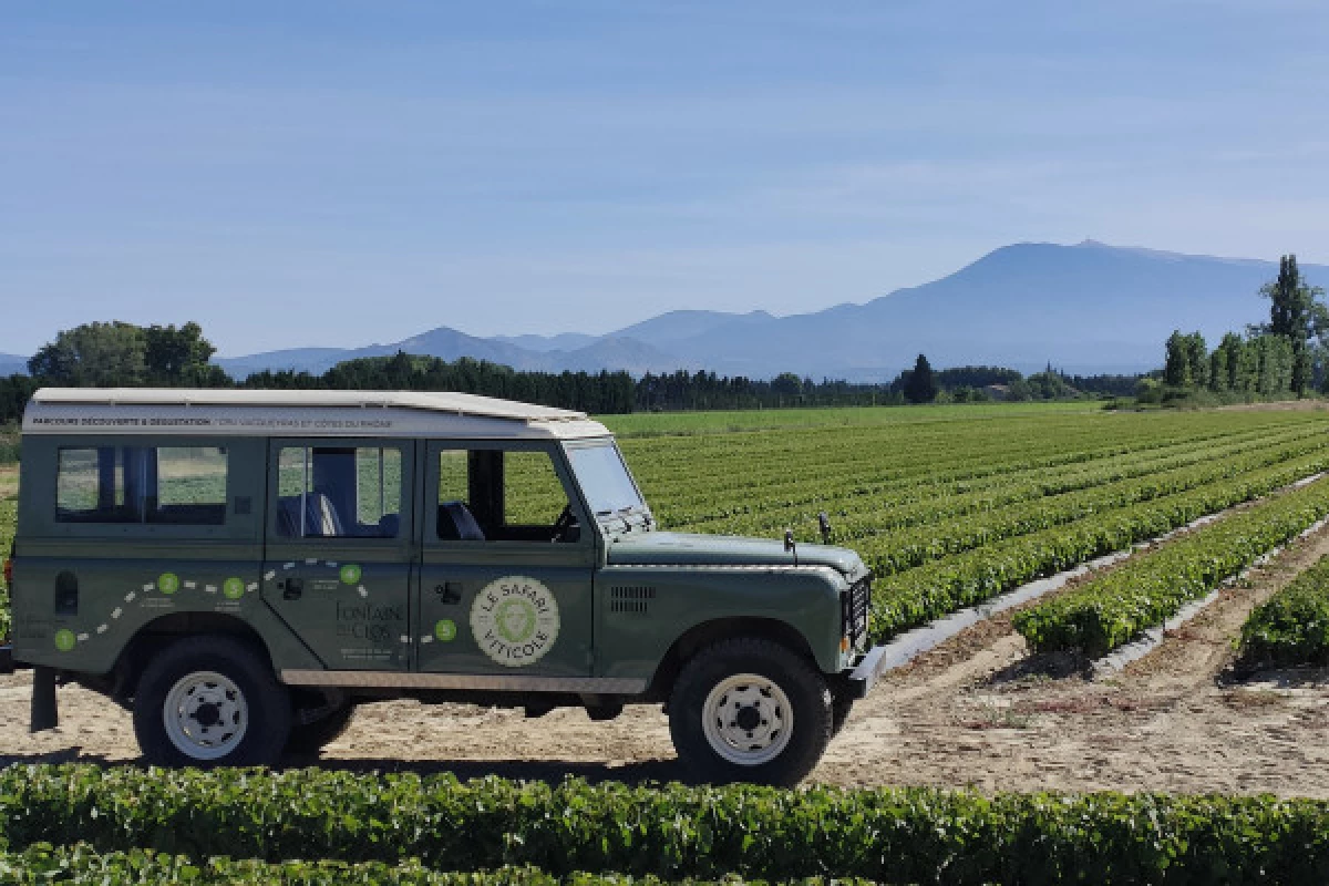 Land Rover Wine Safari - Bonjour Fun