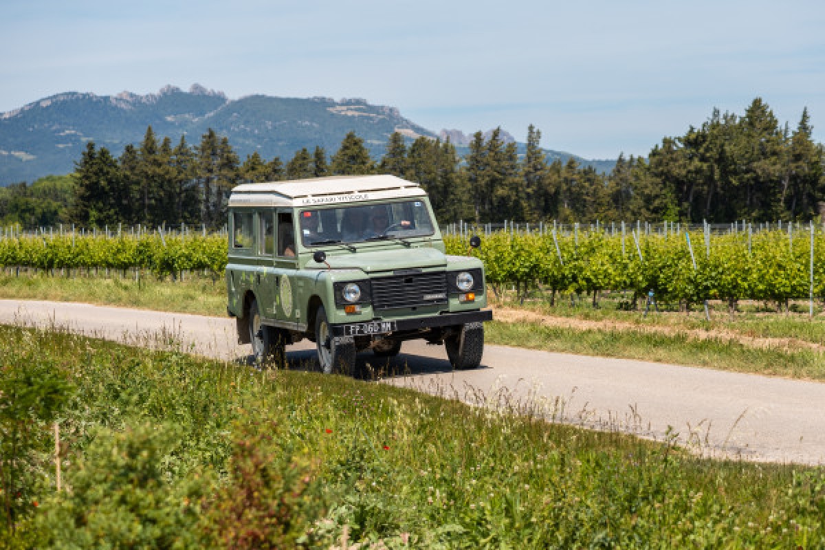 Land Rover Wine Safari - Bonjour Fun