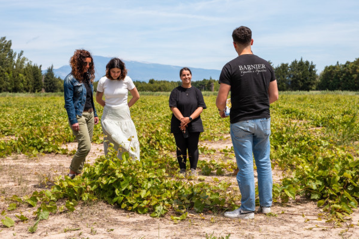 Land Rover Wine Safari - Bonjour Fun