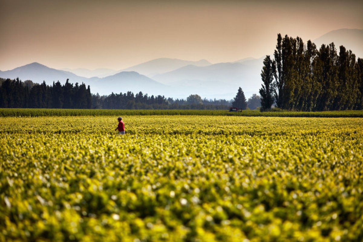 Land Rover Wine Safari - Bonjour Fun