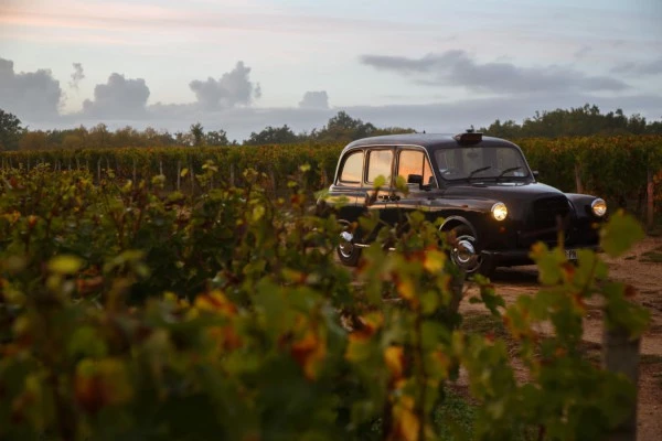 Saint-Emilion: The Grands Crus Classés - Bonjour Fun