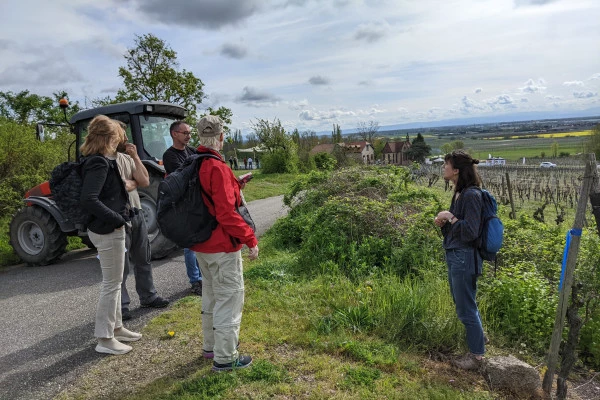 SCHERWILLER #7 - Workshop Tournée des Terroirs - Floral walk on the Rittersberg - Bonjour Fun