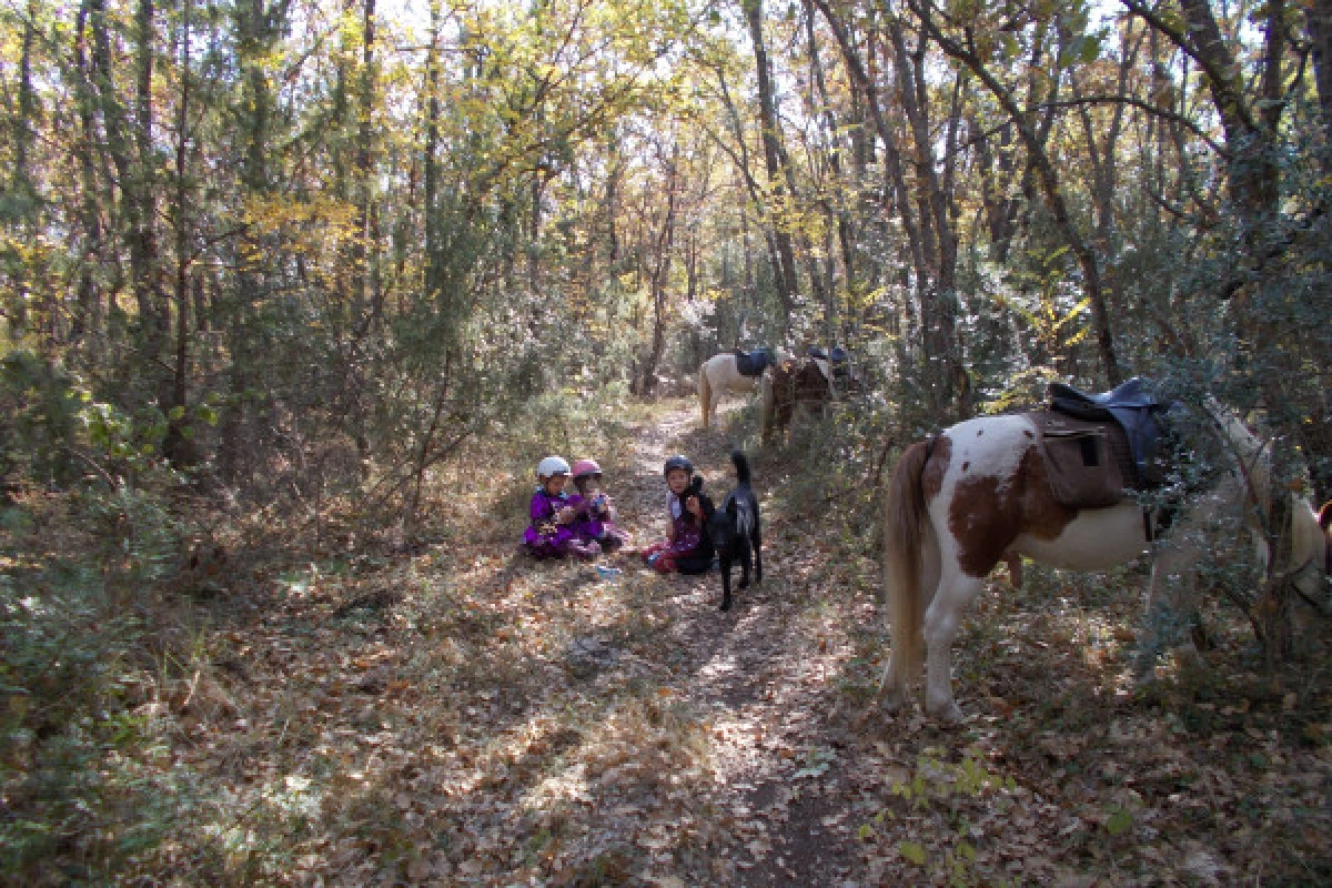 Initiation session - baby pony - Bonjour Fun