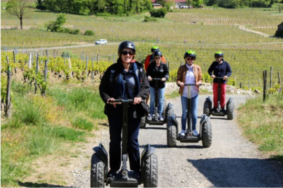 Segway tour 1h00 - Vineyards - Bonjour Fun