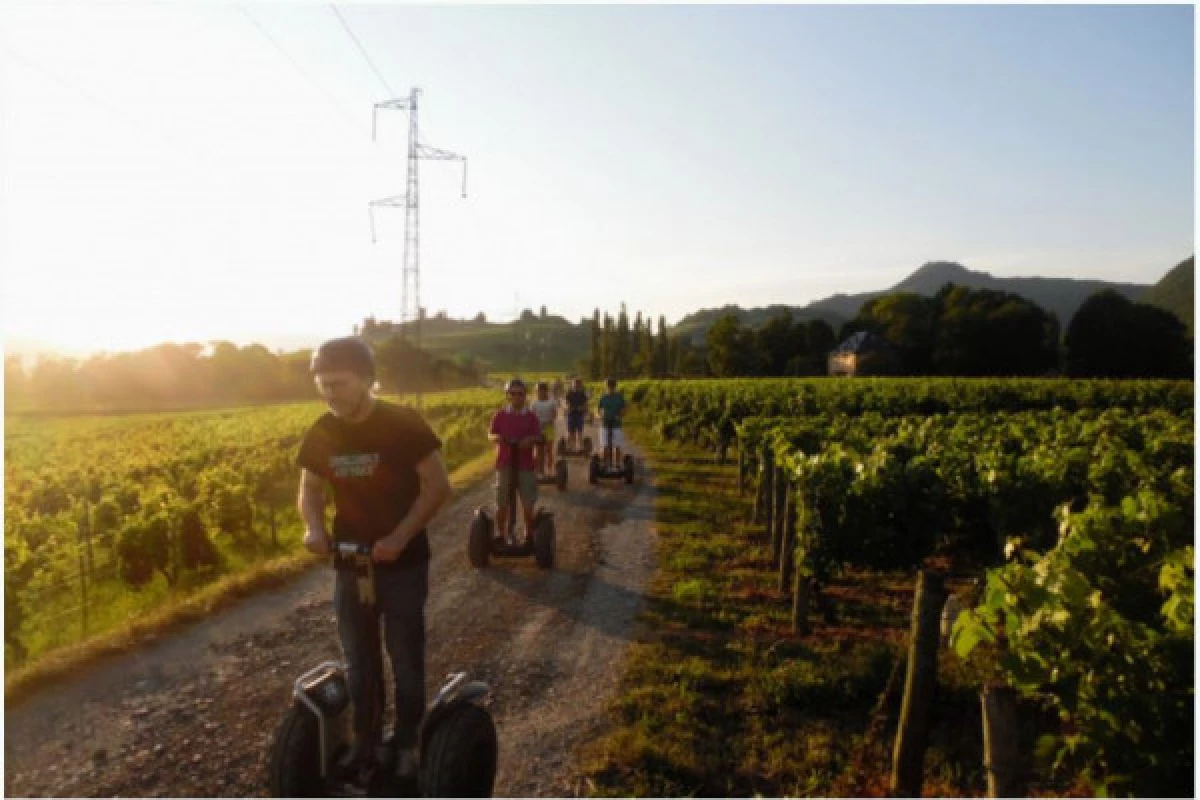 Segway tour 1h30 - Vineyards - Bonjour Fun