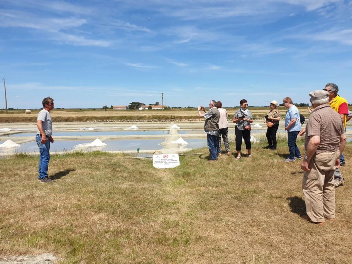 SEL ET SALICORNE au pays du Gois - Bonjour Fun