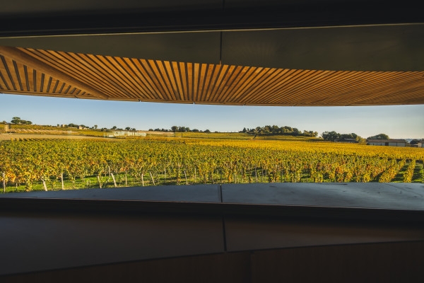 SEM - Saint-Émilion & Médoc - Bonjour Fun