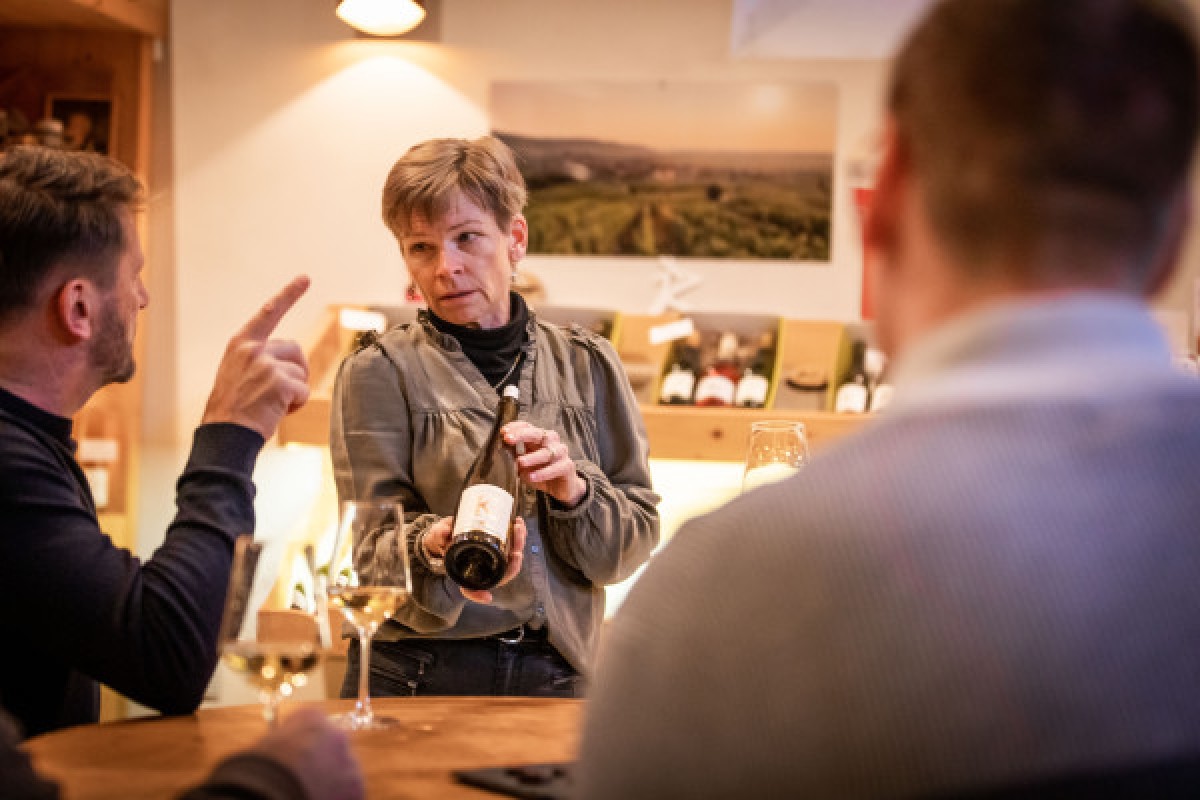 Meet our wines with an in-depth tasting. - Bonjour Fun